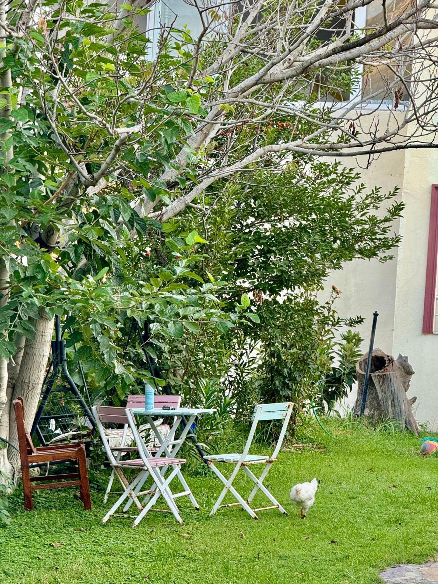 Rose Pension Patara Extérieur photo