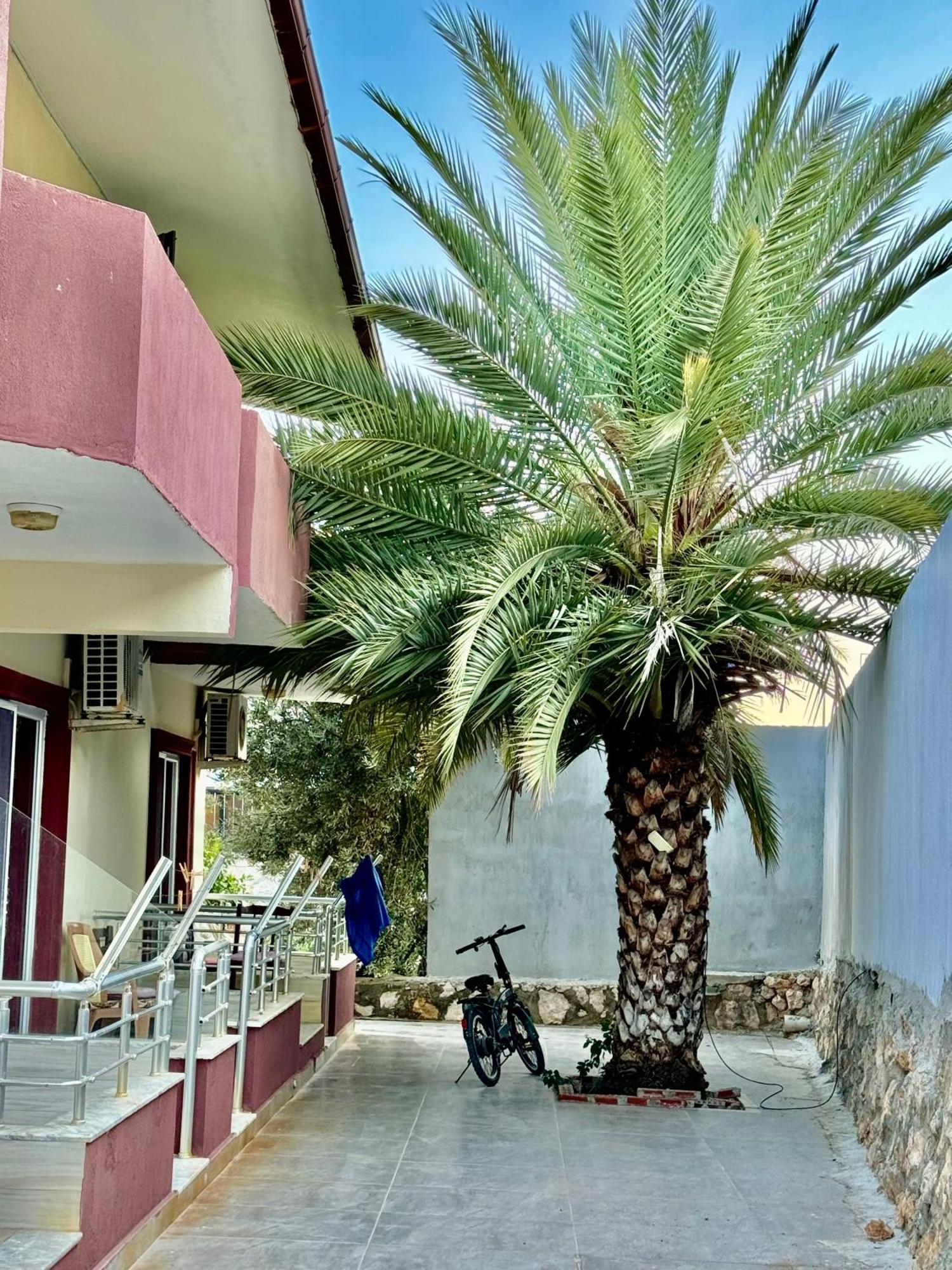 Rose Pension Patara Extérieur photo