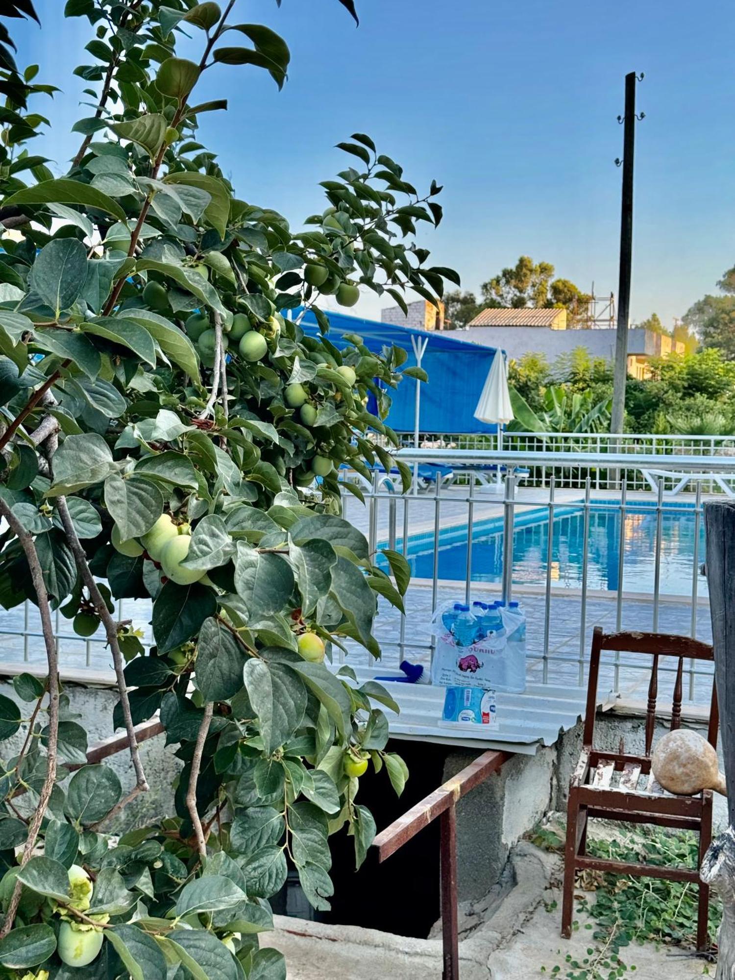 Rose Pension Patara Extérieur photo
