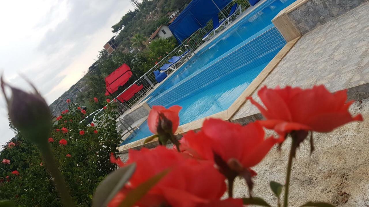 Rose Pension Patara Extérieur photo